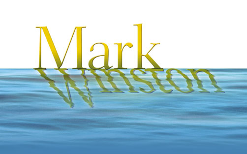 Mark Winston logo